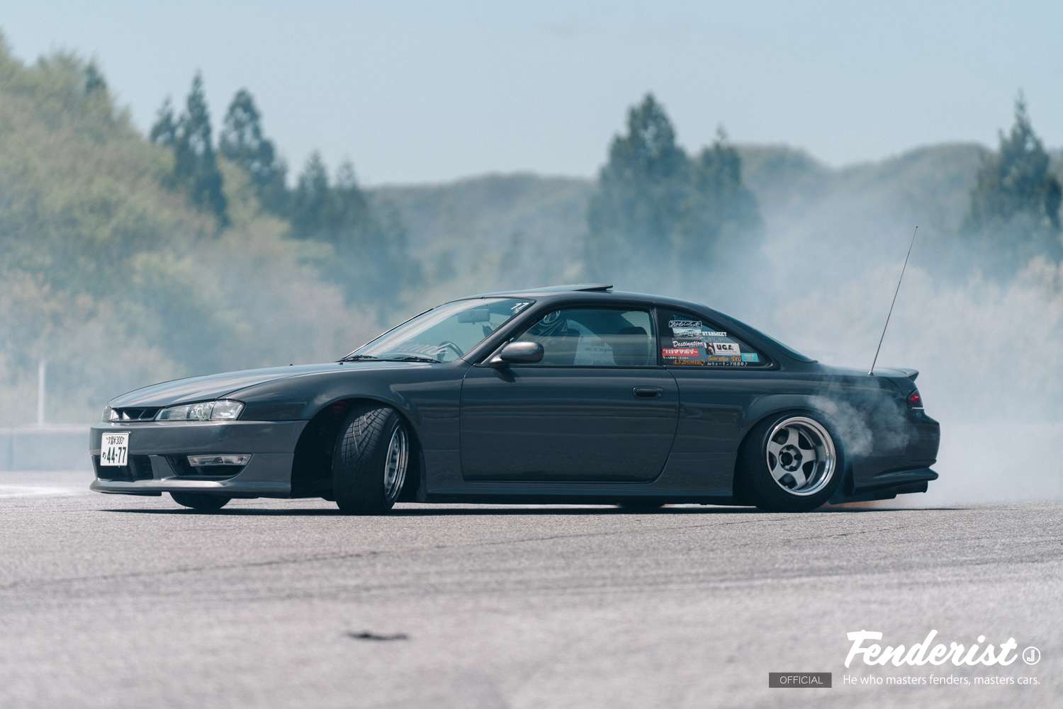 doridore, fenderist m report1