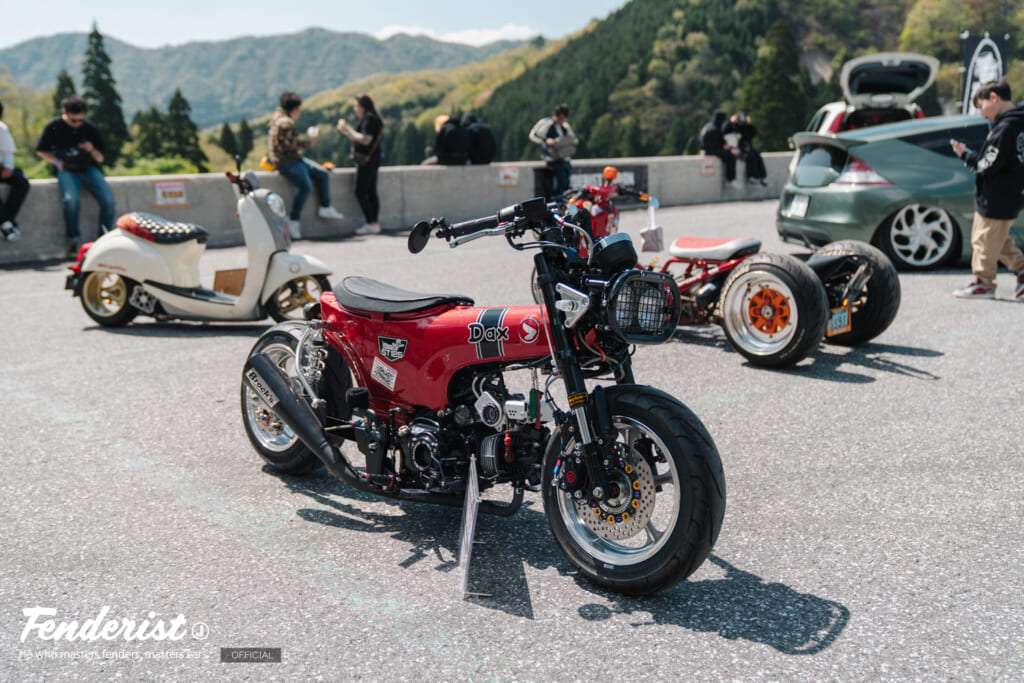 doridore, fenderist m report1