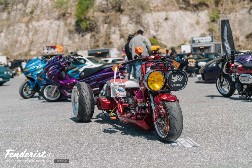 doridore, fenderist m report1
