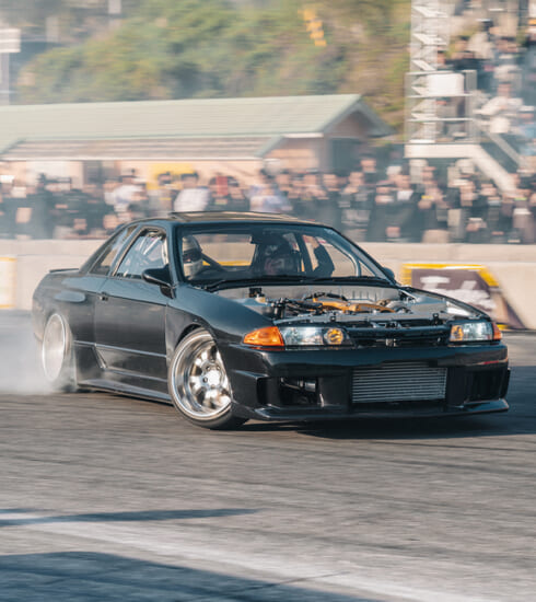 doridore, fenderist m report2